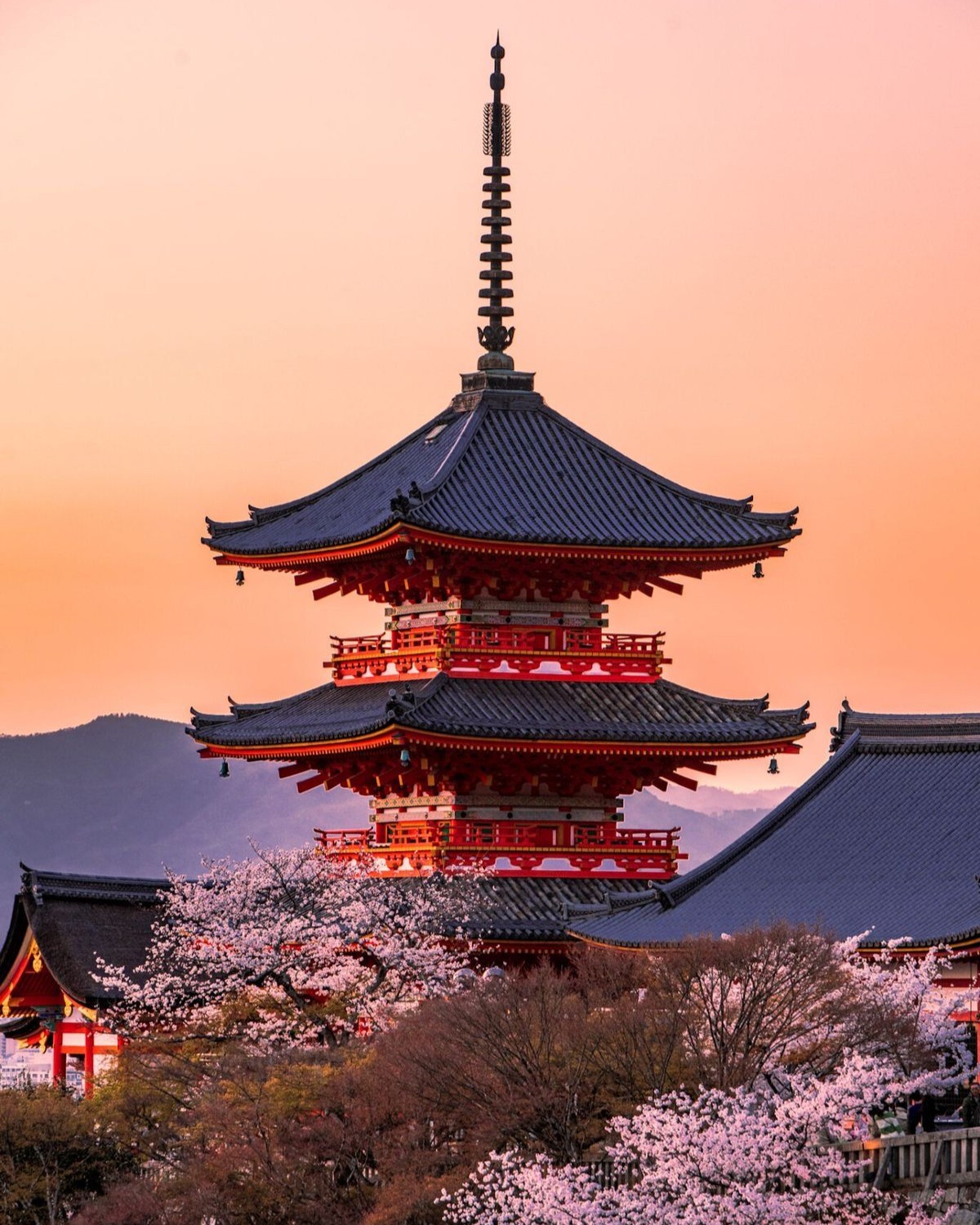 COREA DEL SUR & JAPÓN: CULTURA Y TRADICIÓN