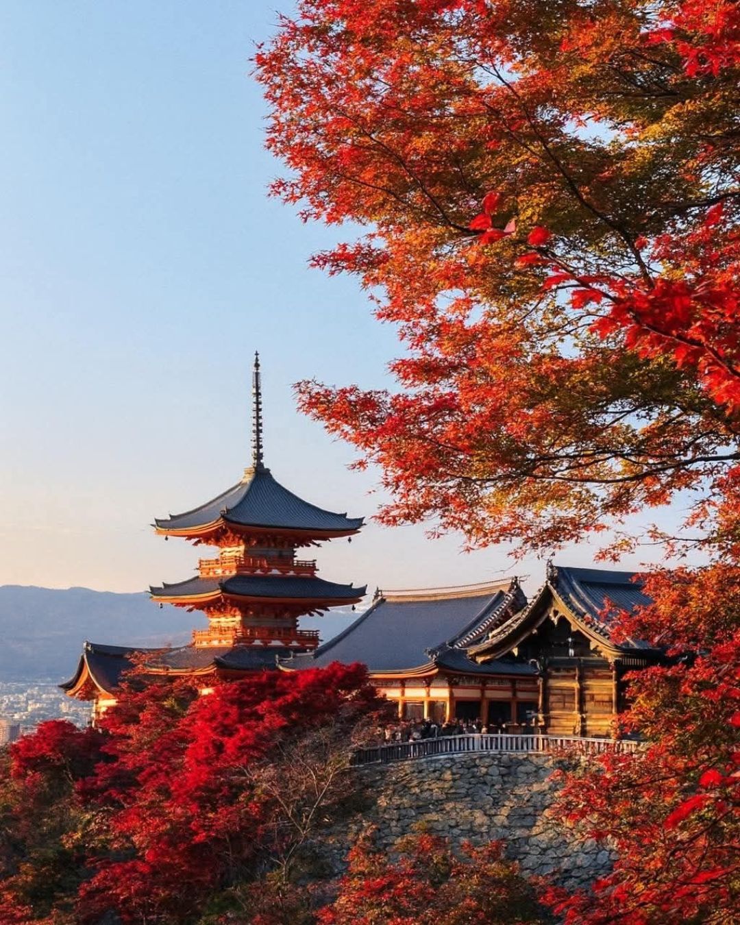 COREA & JAPON 