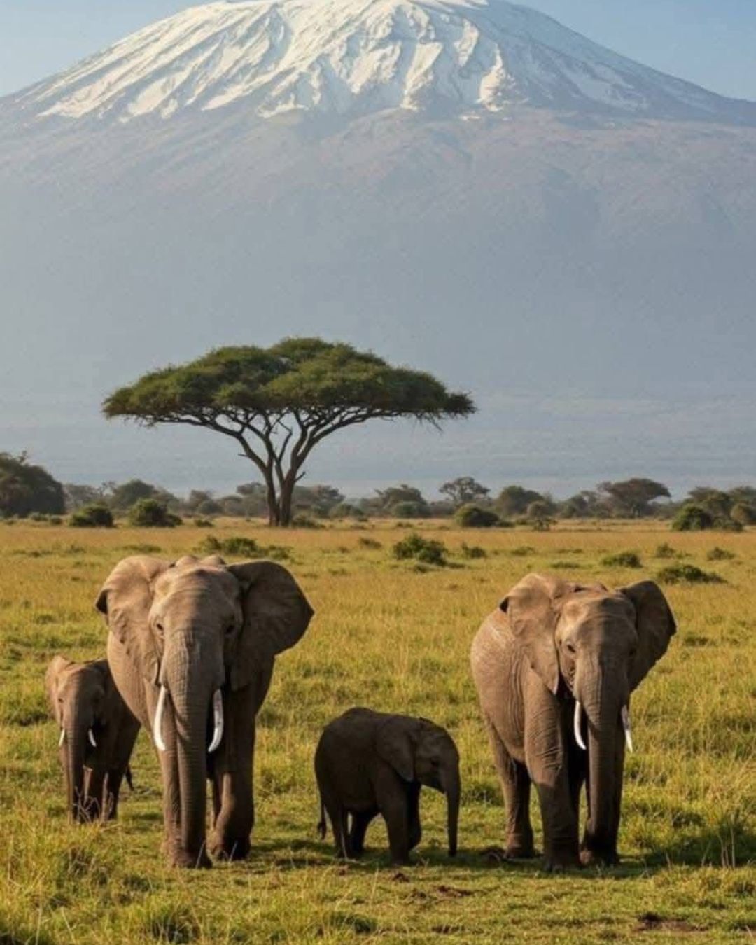 SUDAFRICA & MAURITIUS SALIDA GRUPAL NOV 2026