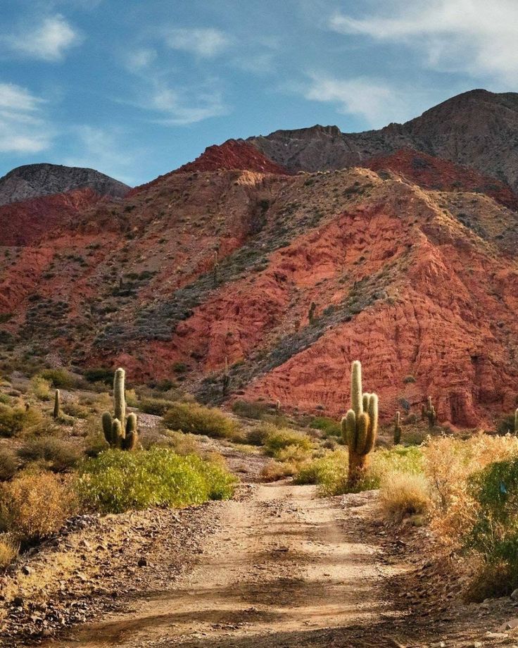 GRAN NORTE ARGENTINO - MAYO 2026