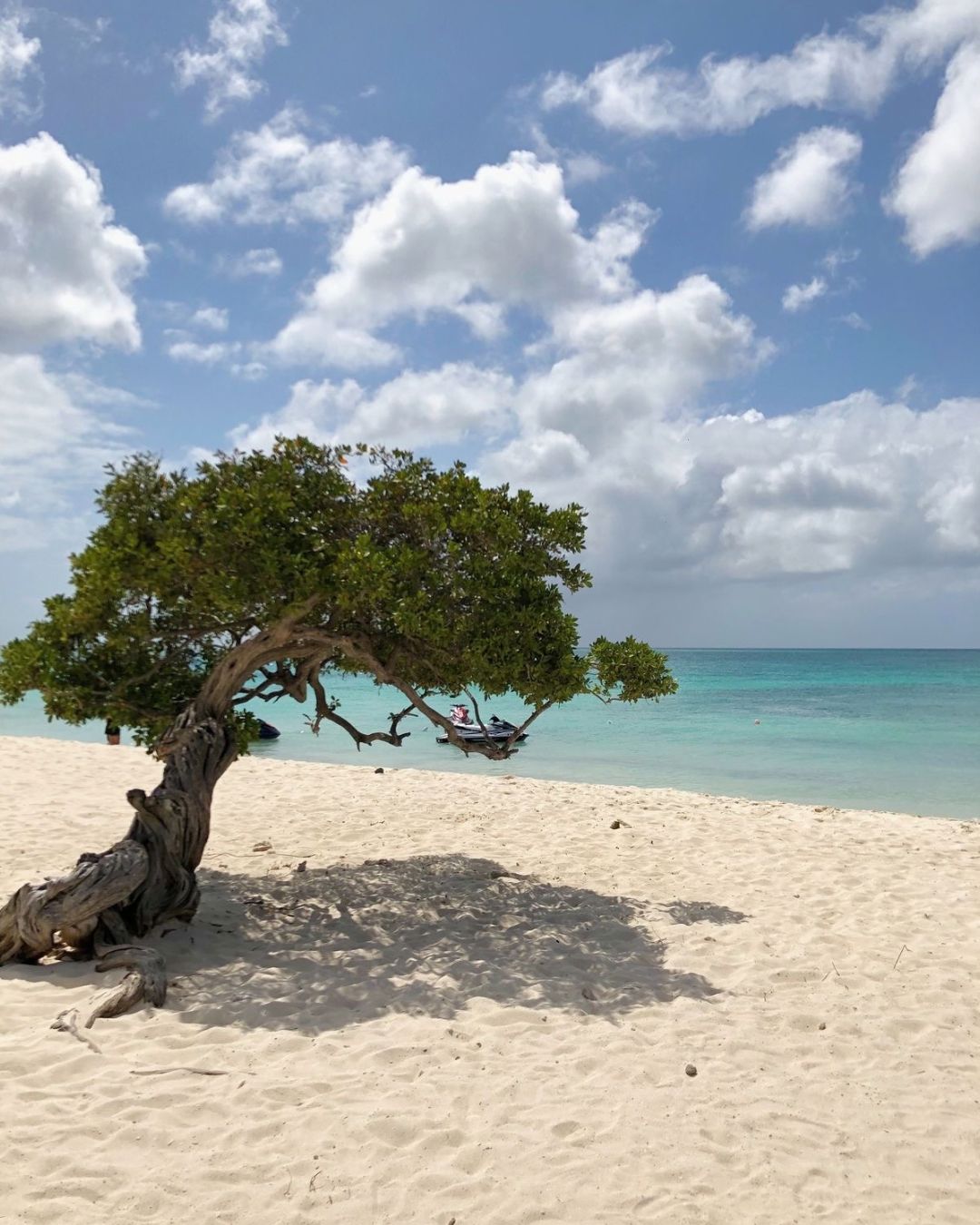 DICIEMBRE EN ARUBA: PROMOCIÓN ESPECIAL